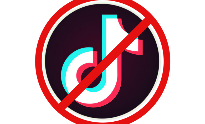 LHC Once Again Receives Petition To Ban TikTok In Pakistan